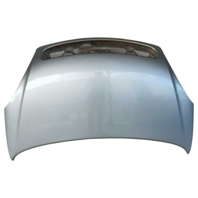 Capo Dianteiro Citroen Xsara Picasso 2001 A 2007