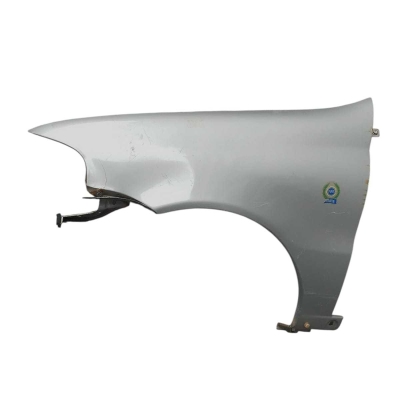 Paralama Esquerdo Fiat Palio Fire 2003 A 2007 Prata Detalhe