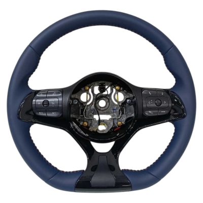 Volante Direção Comandos Byd Dolphin Mini 2024 2025