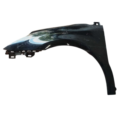 Paralama Esquerdo Citroen C4 Pallas 2006 A 2011 Preto