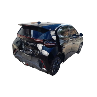 Byd Dolphin Mini Gs5Ev 2024