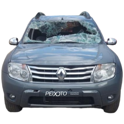 Renault Duster 2.0 4x2 2014 2015