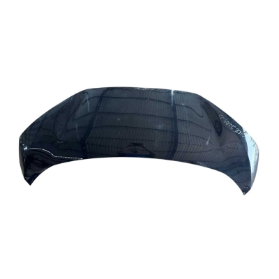 Capo Dianteiro Byd Dolphin Mini 2024 2025 Avaria